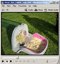 Screenshot of Movie