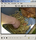 Screenshot of Movie