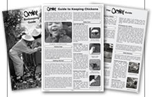 Guides Image of Omlet Guides