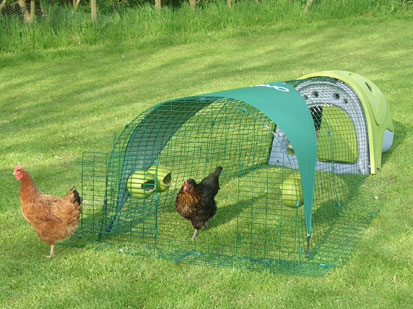 Image of Chickens in the Eglu Classic Run