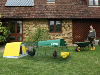 Image of the Eglu Go in a garden