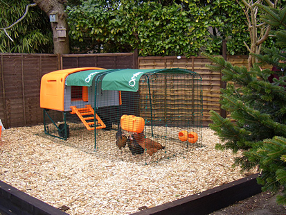 If you have a small garden - you can keep chickens on bark chippings.