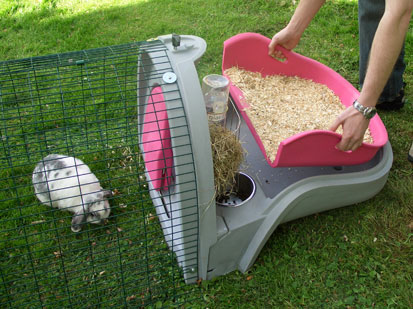 Photo of the Eglu Pet