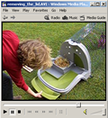 Screenshot of Movie