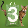 Un sac de litière pour chat en pin avec un chat derrière.