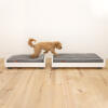 Un petit chien marron se déplaçant entre un petit et un moyen canapé-lit gris et blanc