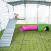 Intérieur Omlet Zippi parc pour lapins avec Zippi plateformes, abri vert Zippi, tunnel de jeu Zippi et deux lapins