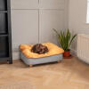 Teckel couché sur Omlet Topology lit pour chien avec pouf et pieds carrés en bois