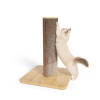 Court Stak griffoir pour chat avec une base en bambou