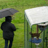 Propriétaire avec un parapluie à côté d'un chat dans un parc d'attractions avec une couverture transparente