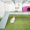 Omlet Zippi parc pour lapins avec Zippi plates-formes, Caddi porte-gâteries, abri violet Zippi et deux lapins