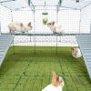 Omlet Zippi parc pour lapins avec Zippi plates-formes, Caddi support pour friandises et lapins