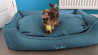 Approuvé par mon chiot !