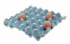 Plateaux à œufs bleus avec trois œufs