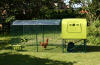 Vue de côté de Eglu Cube poulailler avec parcours, couvercle transparent et poulets
