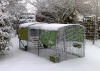 Vert Eglu Cube et courent dans le jardin couverts de Snow
