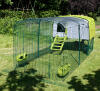 Vert Eglu Cube poulailler avec parcours et couverture transparente dans le jardin