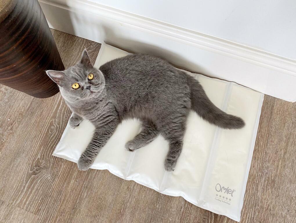 Tapis rafraîchissant Omlet en mousse à mémoire de forme pour chats