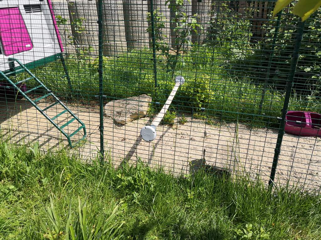 Perchoir à Poules Omlet 1m