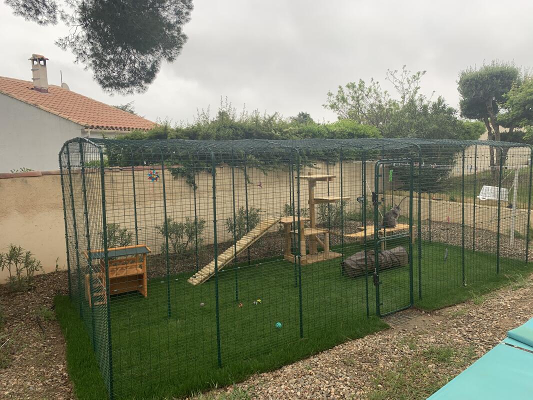Pictngamukjph5lp 25 Construire Un Enclos Pour Chat Construire Un Enclos Pour Chat Pictngamukjph5lp 25 Construire Un Enclos Pour Chat Construire Un Enclos Pour Chat