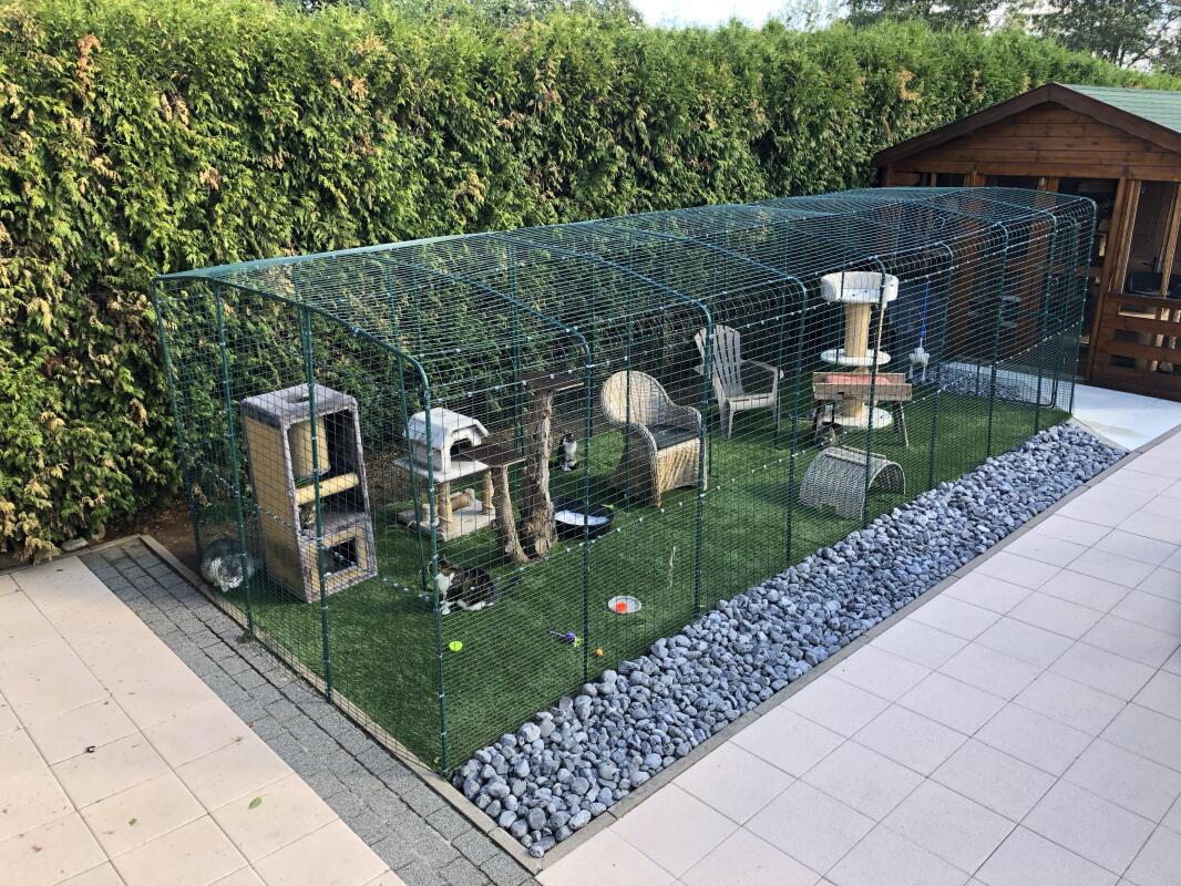 Grand Enclos Pour Chats Grand Enclos d