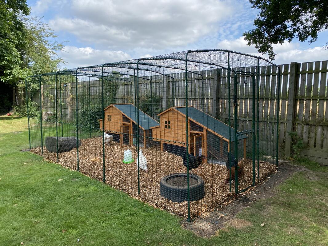 Grand Enclos pour Poules | Vaste Enclos Extérieur pour Poules