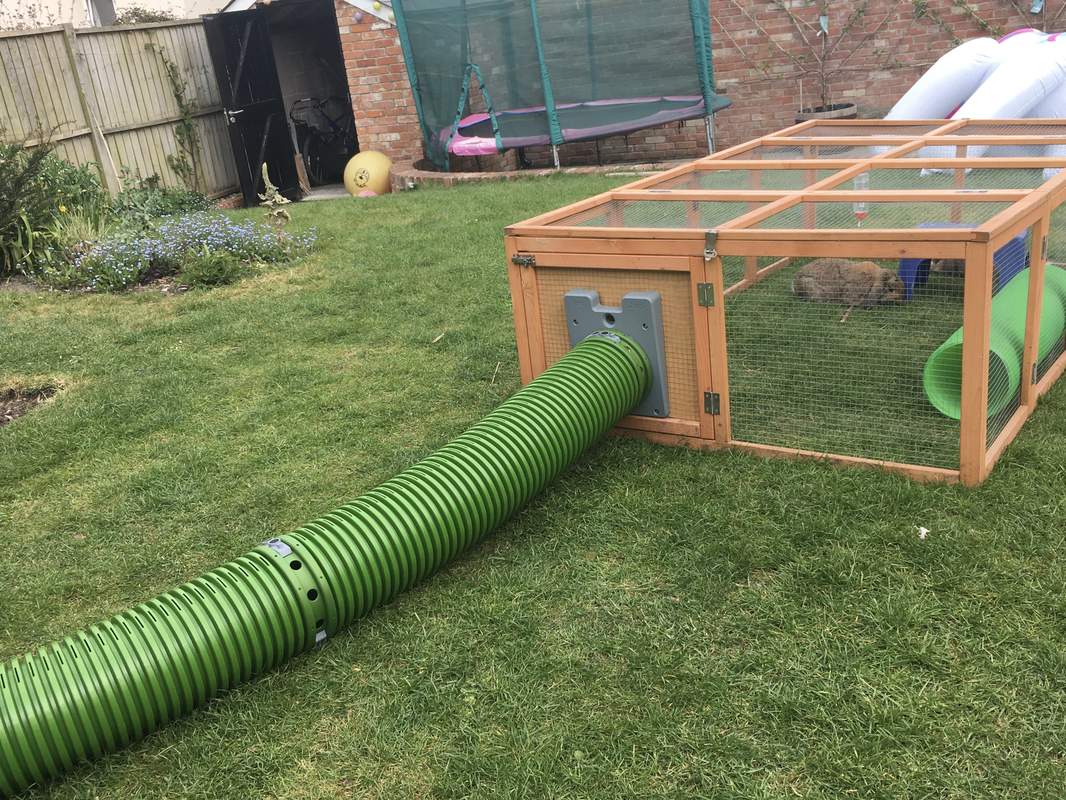 Tunnel pour lapins Zippi Omlet