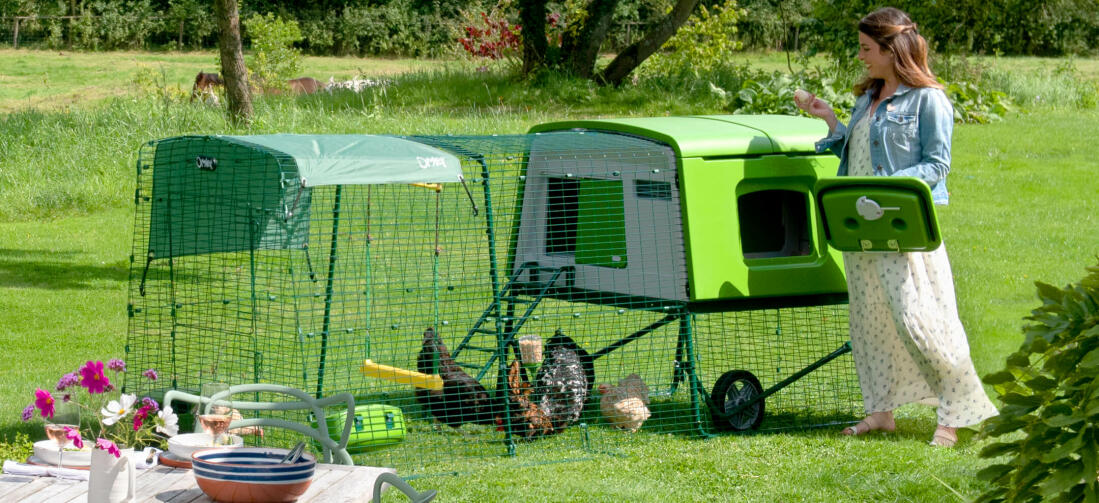 L’Eglu Cube facilite l’élevage de poules et est parfait tant pour amateurs qu’éleveurs chevronnés. L’Eglu Cube facilite l’élevage de poules et est parfait tant pour amateurs qu’éleveurs chevronnés.