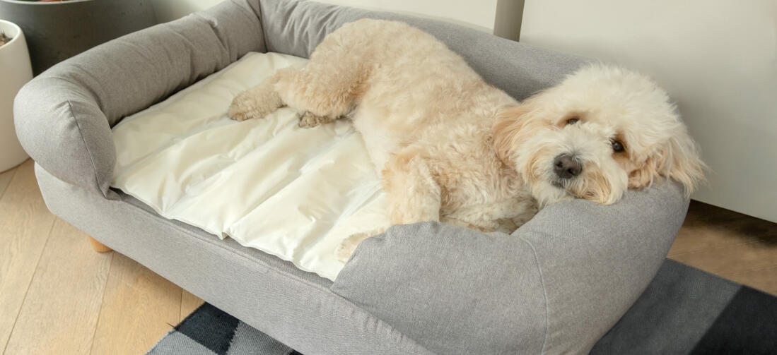 Le tapis est étanche et résistant et gardera votre chien au frais pour beaucoup d’étés à venir !