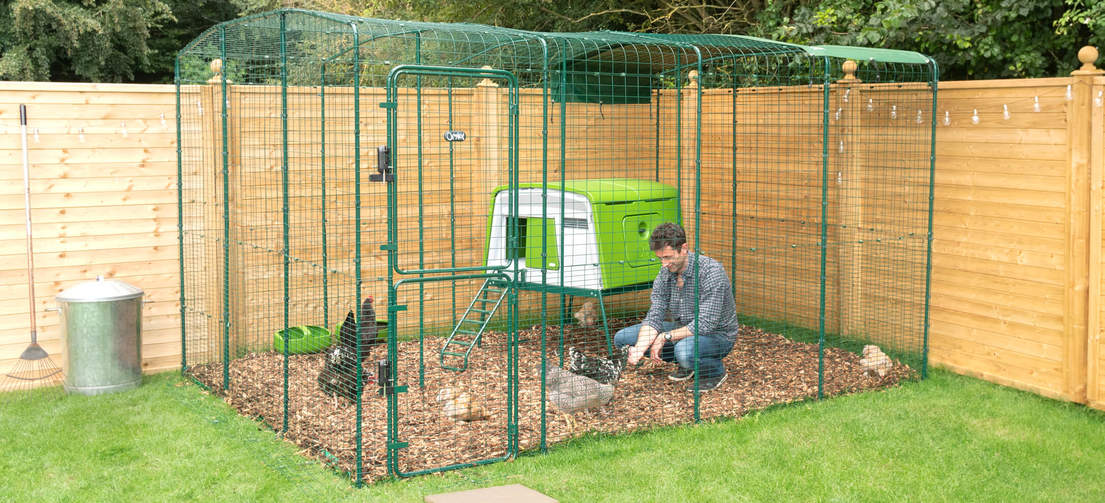 Agrandissez l’enclos de votre Eglu Cube ou placez le poulailler à l’intérieur d’un enclos pour poules.