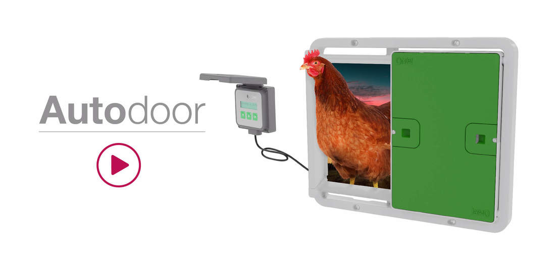L'image Autodoor avec un contrôleur et un poulet qui sortent de l'eau