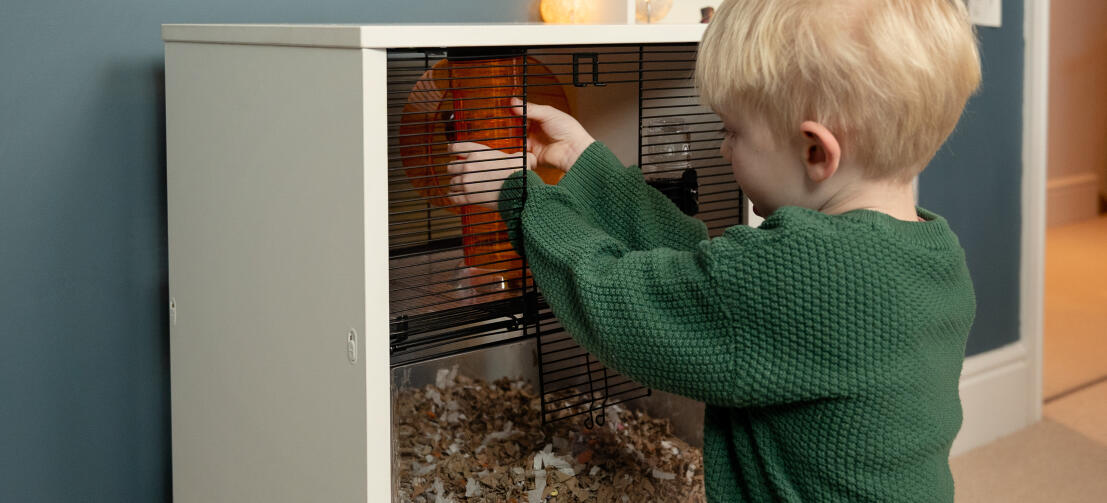 Jeune garçon tordant le tube dans une cage pour hamster et gerbille Qute.