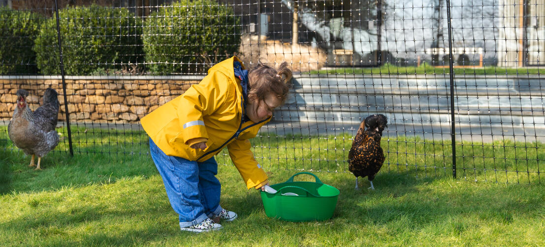 Jeune fille nourrissant des poulets par Omlet clôture pour poulets