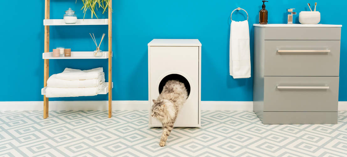 Chat grimpant hors de Omlet Maya mobilier pour litière de chat