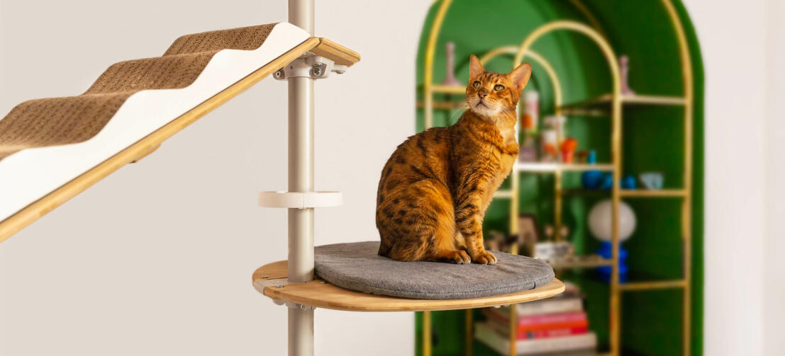 Chat sur Freestyle arbre à chat du sol au plafond plateforme coussin