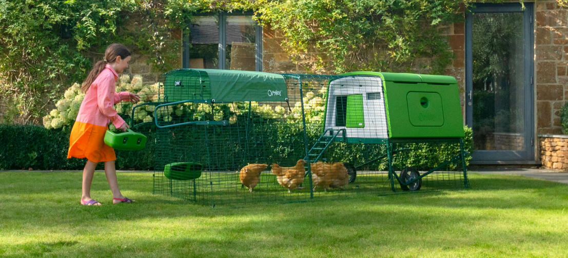 Jeune fille nourrissant des poules dans un poulailler vert Cube avec un parcours et un couvercle