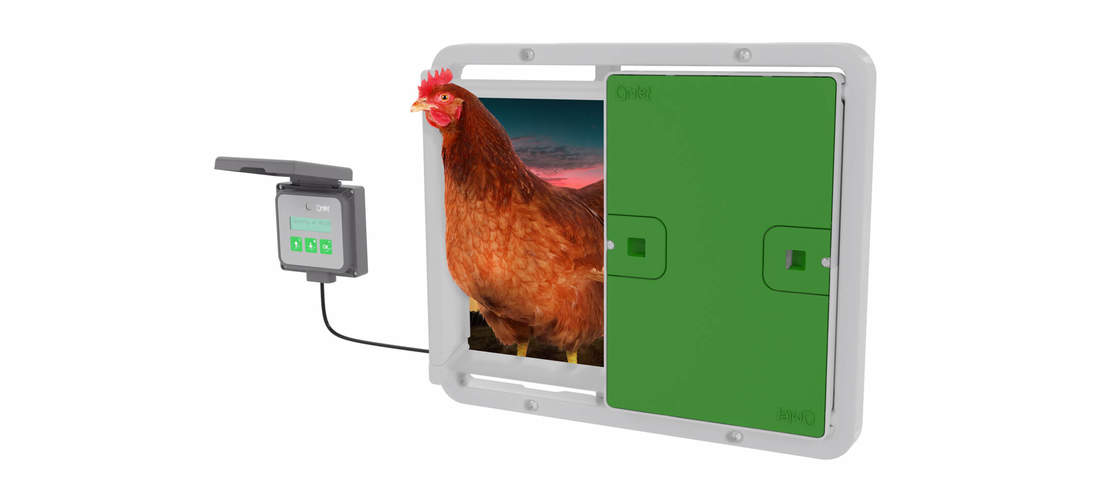 Gardez vos poules à l’abri dans leur Eglu Cube, même lorsque vous n’êtes pas à la maison, grâce à la porte automatique d’Omlet.