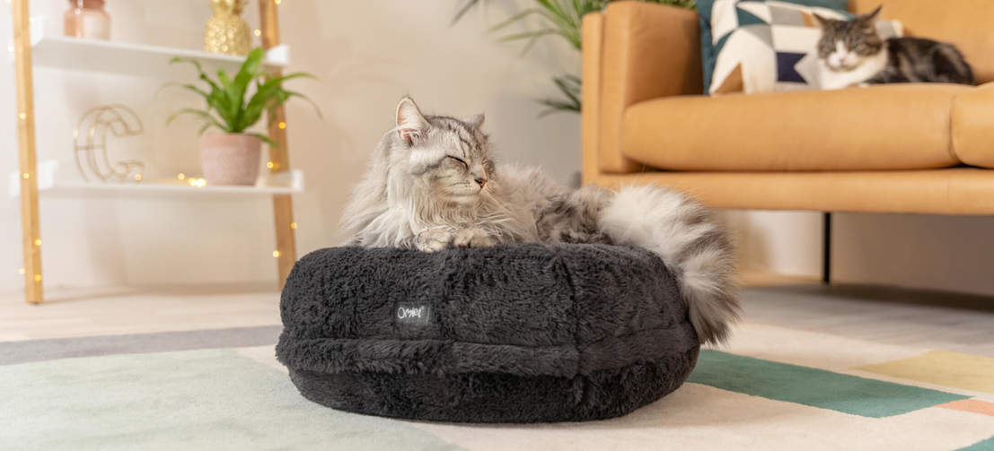 KittyHeaven®, le panier donut pour chat