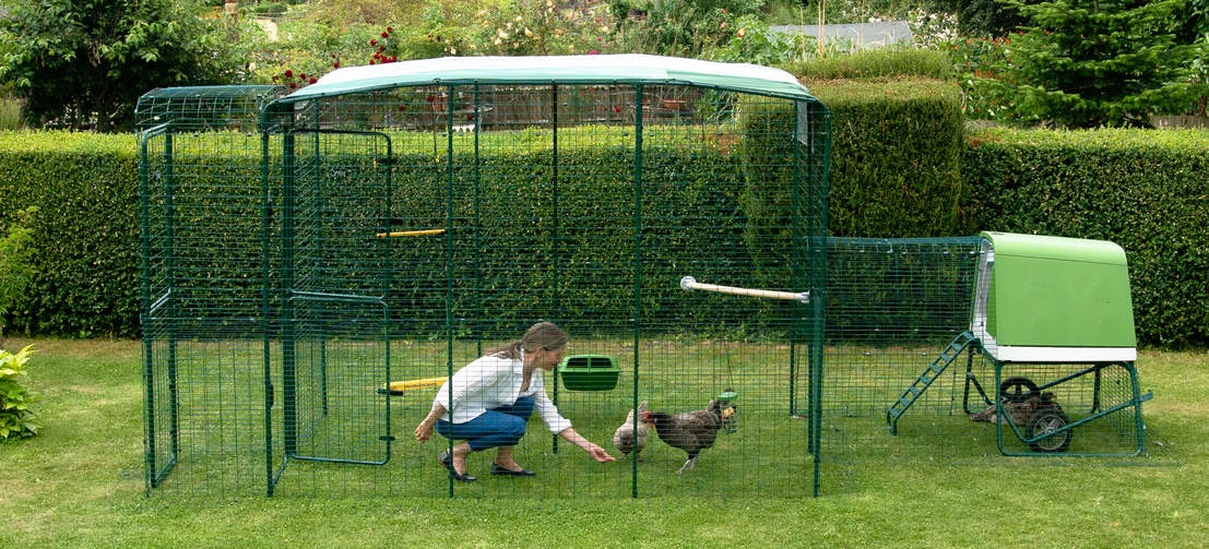 L’enclos sécurisé peut être agrandi quand bon vous semble. Vous pouvez aussi le connecter à un grand enclos pour créer un véritable palais pour poules.