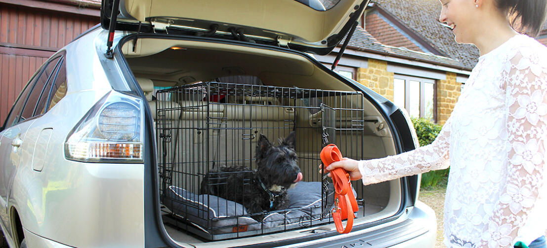 Cage de transport pour chiens Omlet Fido Classic