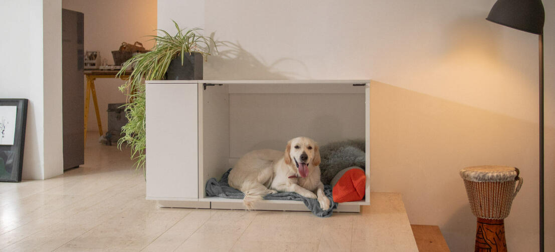 Niche d'intérieur pour chiens 2 en 1 Omlet Fido Nook