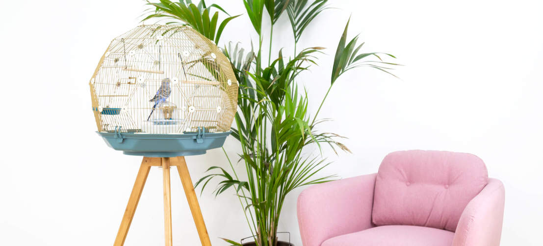 Cage oiseau avec pied – Animalerie Boutique Tropicale