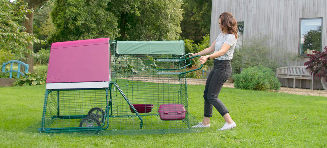 Les roues en option vous aideront à déplacer votre Eglu dans un nouveau coin de jardin.