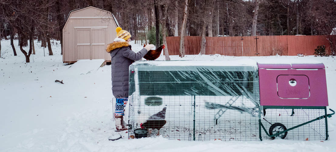 L’Eglu Cube vous servira toute l’année grâce à son isolation à double parois qui gardera les poules au frais en été et au chaud en hiver.