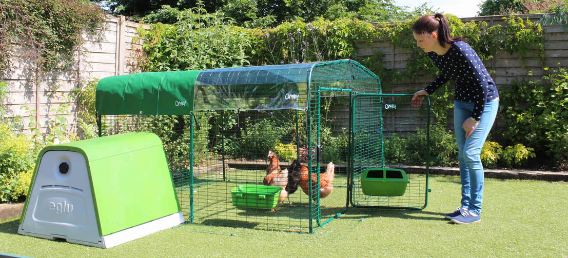 Si vous n'avez pas tout de suite besoin de hauteur, il est aussi possible d'opter pour un Grand Enclos Pour Poules version basse. Vous pouvez toujours vous agrandir plus tard.