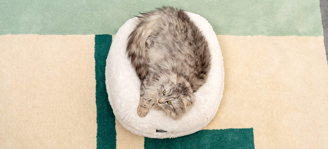 Votre chat pourra se laisser fondre dans ce coussin ferme en forme de donut qui supportera bien son corps, un vrai plaisir !