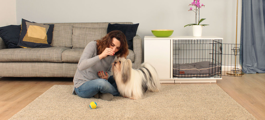 Votre chien sera content de sa magnifique Fido Studio, tout comme vous ! Votre chien sera content de sa magnifique Fido Studio, tout comme vous !