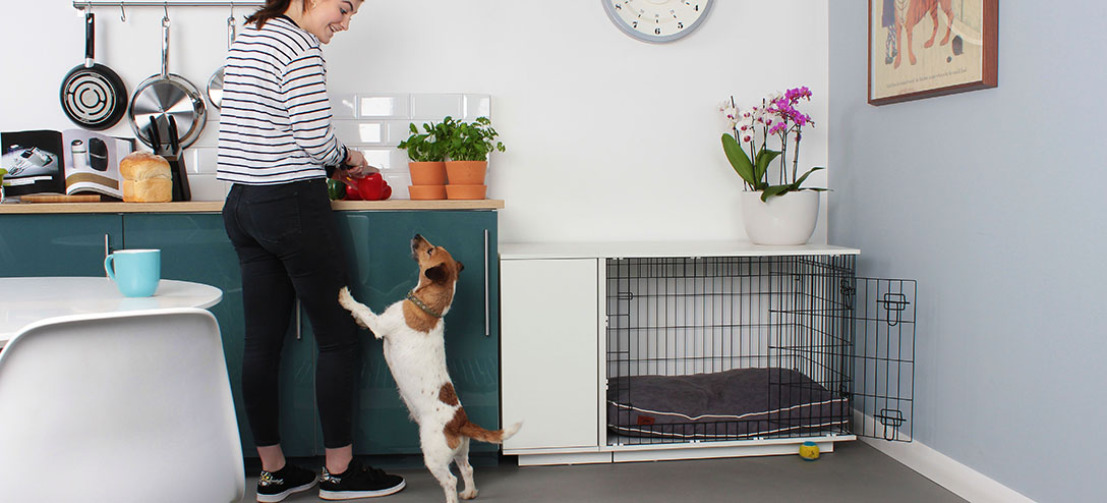 Quelque soit son emplacement, la niche moderne Omlet Fido Studio sera très élégante Quelque soit son emplacement, la niche moderne Omlet Fido Studio sera très élégante