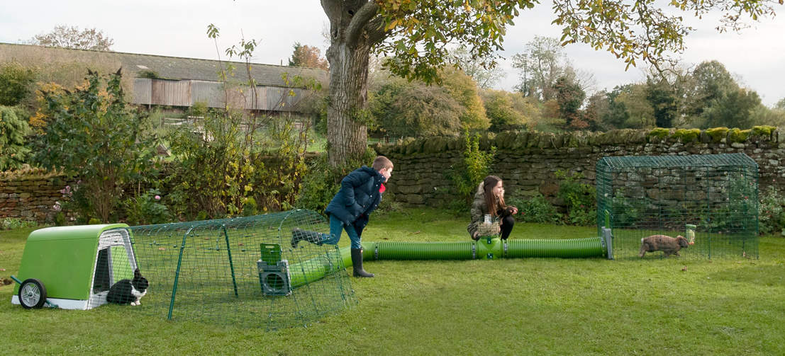 Des personnes jouant avec des lapins dans un parcours pour lapins et un clapier Go avec un tunnel Zippi 