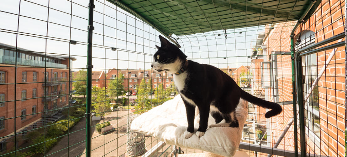 Cage à chat transparente d'intérieur, maison, grande capacité, salon,  balcon, clôture pour animaux de compagnie, Villa à deux étages